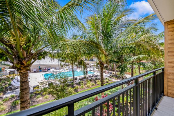 A balcony view overlooking a pool area surrounded by palm trees and greenery under a clear blue sky, with lounge chairs arranged around the pool.